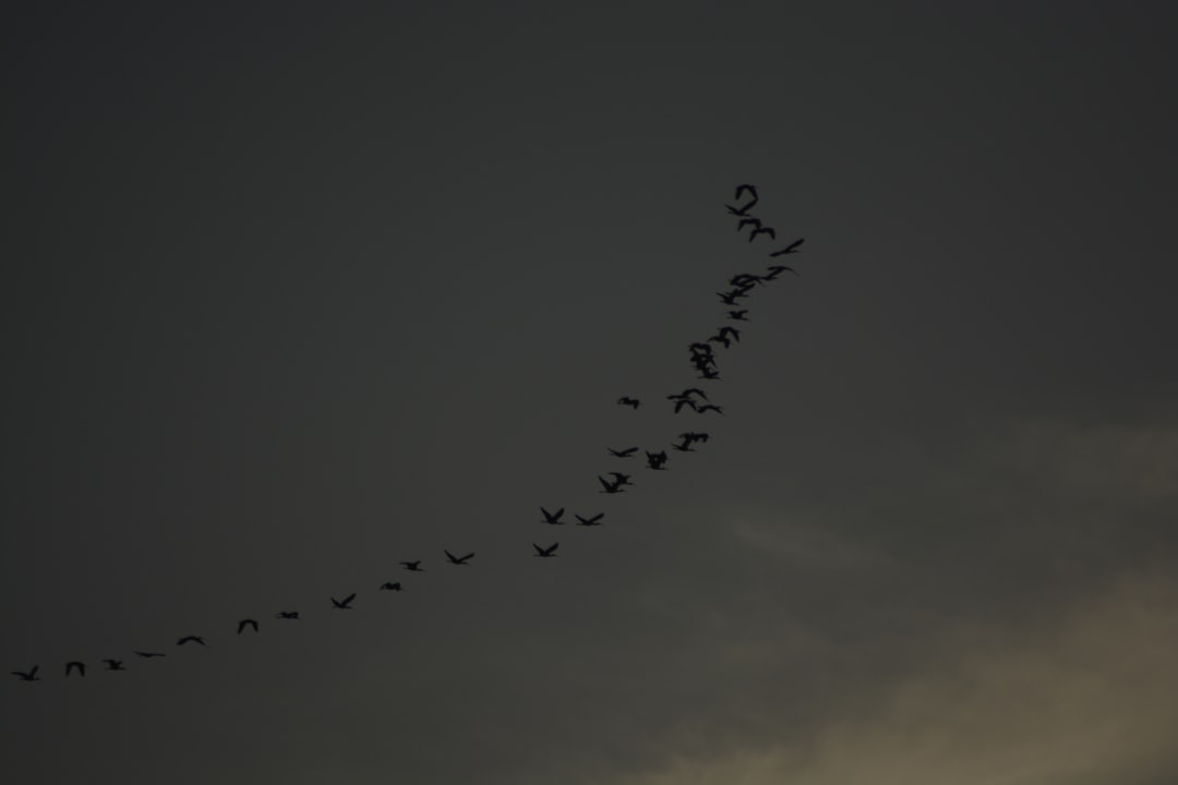 Inteligencia emocional